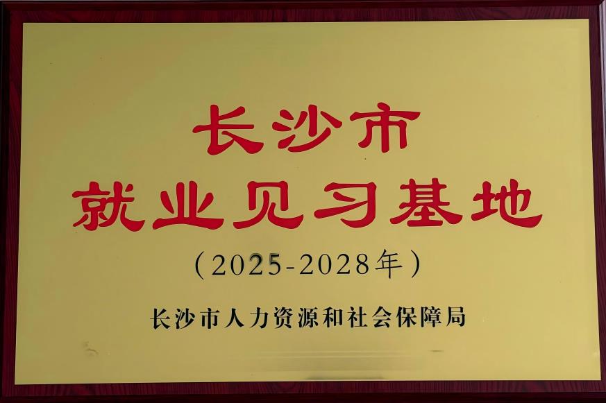 hth会体会体育获认定为长沙市就业见习基地，践行社会责任，培育AI未来人才